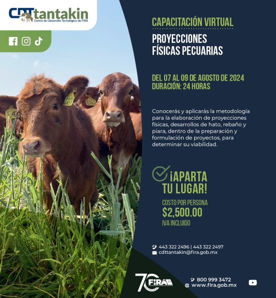 WhatsApp Image 2024-06-18 at 11.25.45 AM (1)