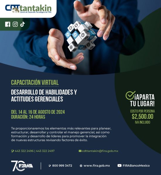 WhatsApp Image 2024-06-18 at 11.25.45 AM